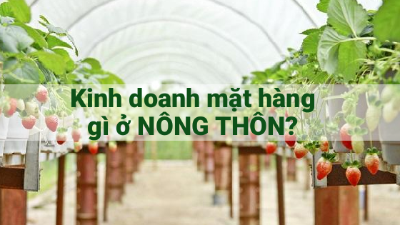 Nên kinh doanh gì ở nông thôn?