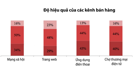 THIẾT KẾ WEB LONG AN