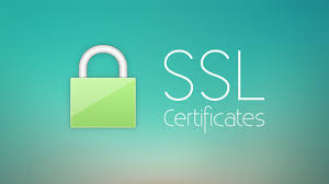 REVIEW CÔNG TY SIKIDO DỊCH VỤ CHỨNG CHỈ SSL