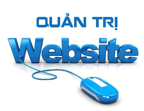 Có nên sử dụng dịch vụ quản trị website?